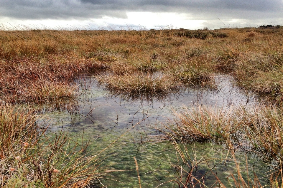 Cumbria receives a new National Nature Reserve