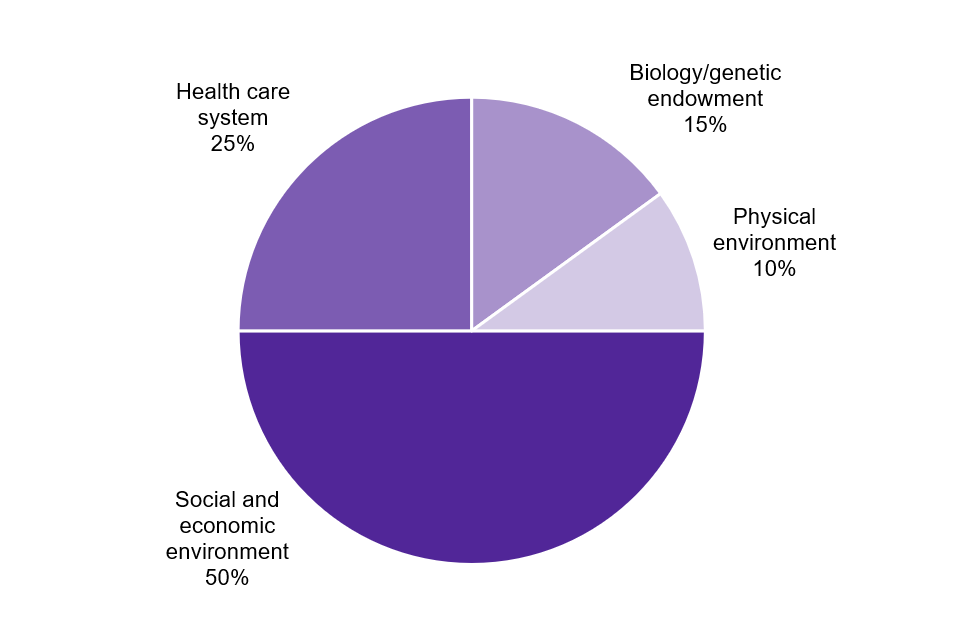 The contribution of health determinants to health status from a study by the Canadian Institute of Advanced Research, 2002: social and economic environment 50%, healthcare system 25%, biology/genetic endowment 15%, physical environment 10%.