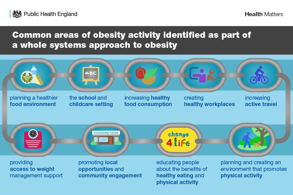 Common areas of obesity activity identified as part of a whole systems approach to obesity, including planning a healthier food environment, the school and childcare setting, increasing healthy food consumption, and creating healthy workplaces.