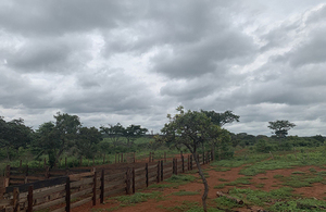farmland in angola