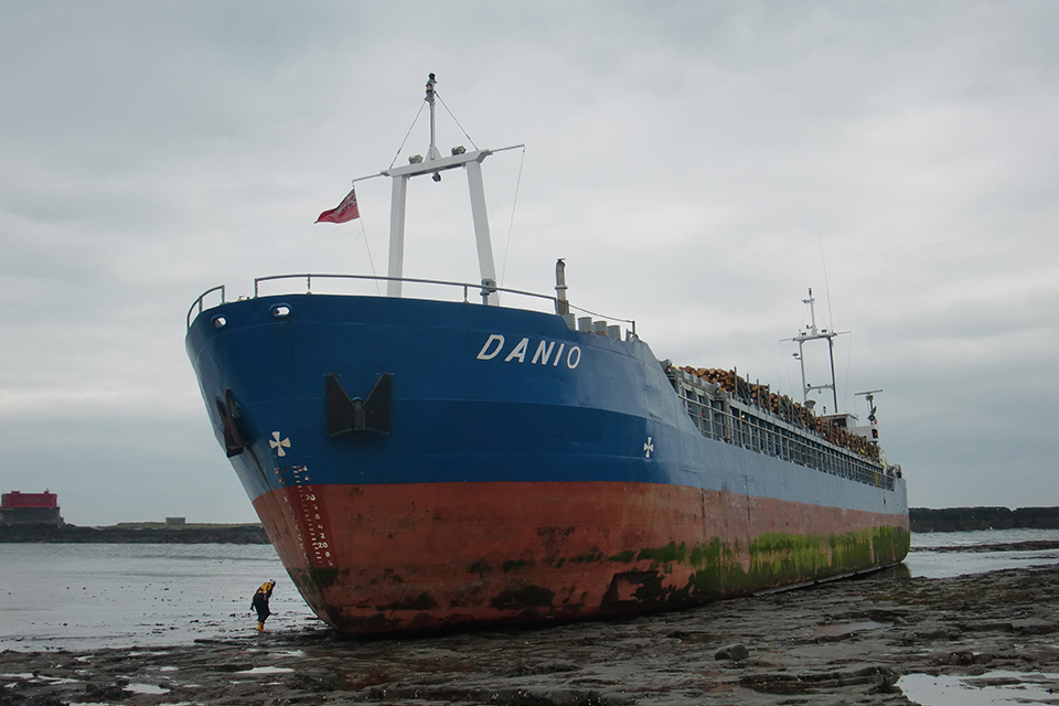 Photo of Danio aground