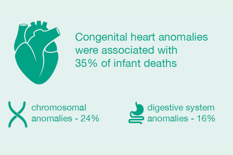 Infographic of heart, chromosomal and digestive system anomalies