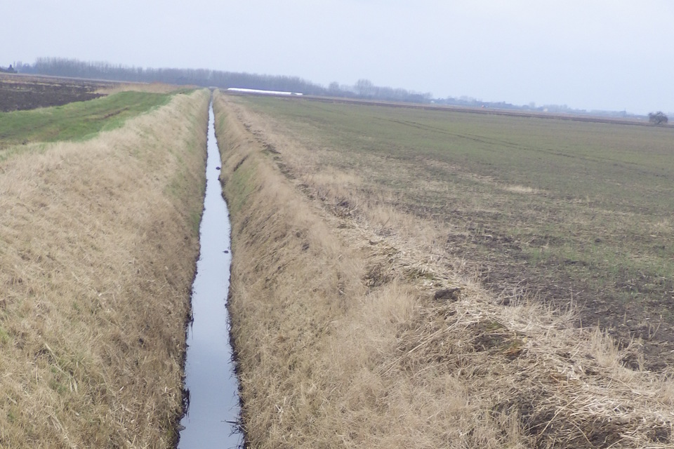Company admits polluting Fenland watercourses