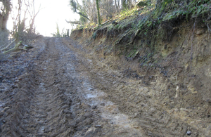 Track at Newtondale Site of Special Scientific Interest