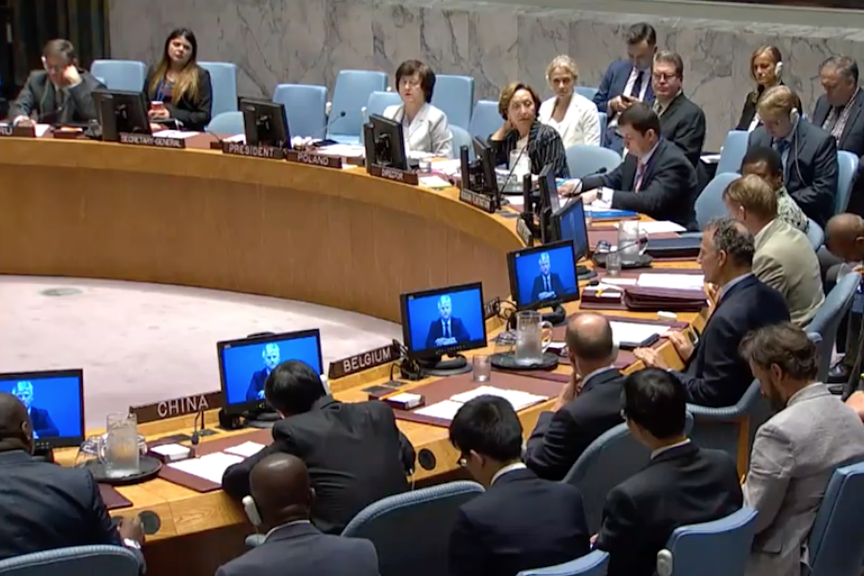 UN Security Council briefing on UNAMID