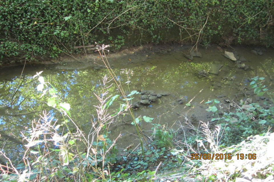 Anglian Water ordered to pay £156,000 for sewage pollution