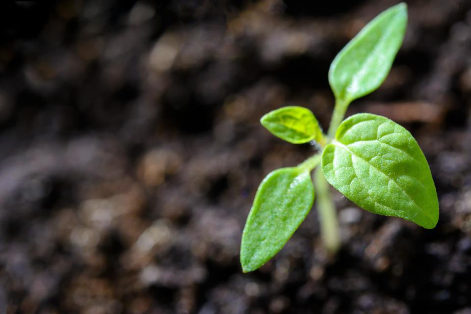 Review to continue improvements in bio waste sector