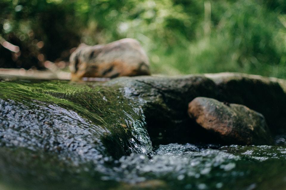 Chilterns Chalk Streams Conference   Position Statement