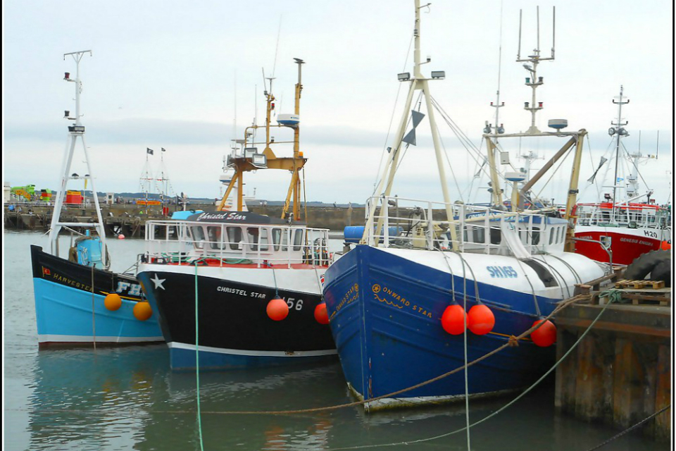 £15.4 million funding boost for English fishing industry