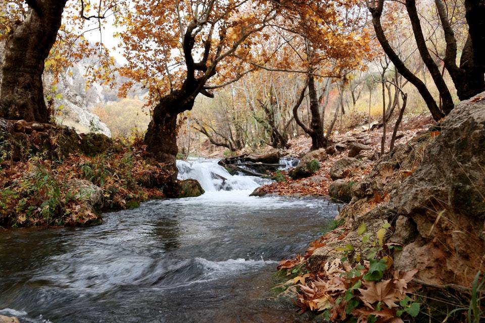 Environment Agency launches future of rivers consultation