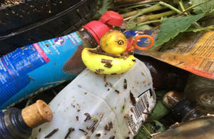 Rubber duck and plastic containers