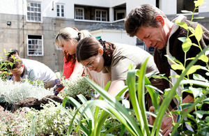 community gardening