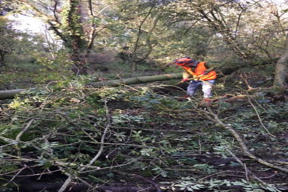 Innovative ecological scheme to reduce flooding in Leicestershire