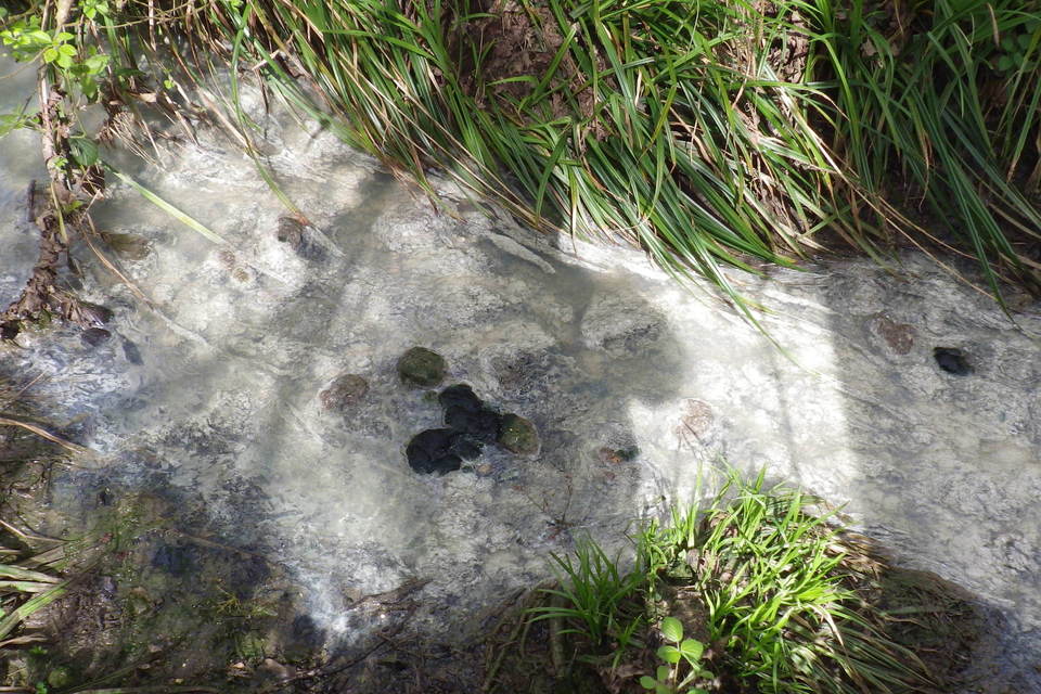 Negligent farmer fined for fouling SSSI