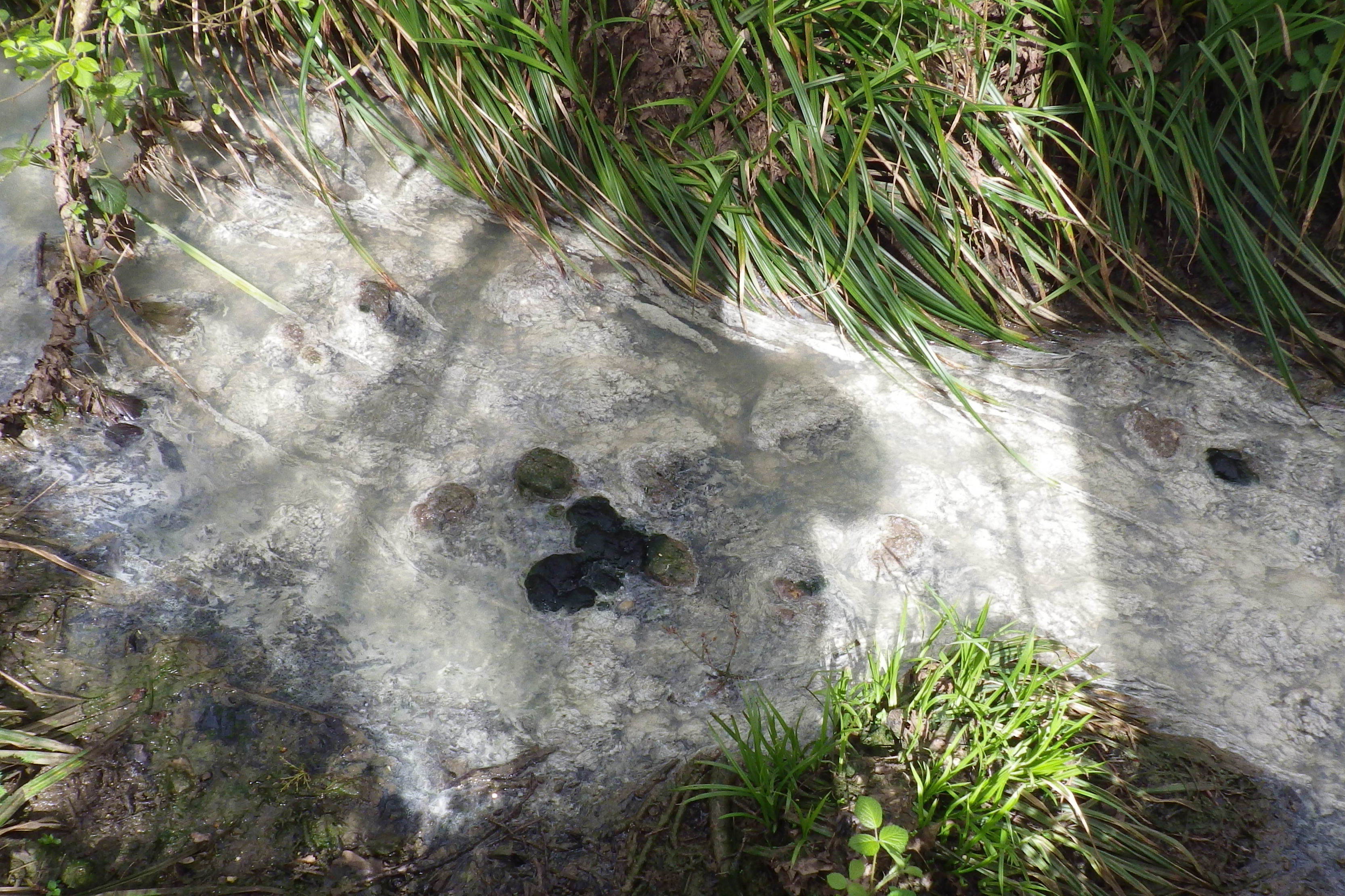 Negligent farmer fined for fouling SSSI GOV.UK