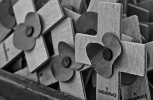 Poppy, Monument, Cross