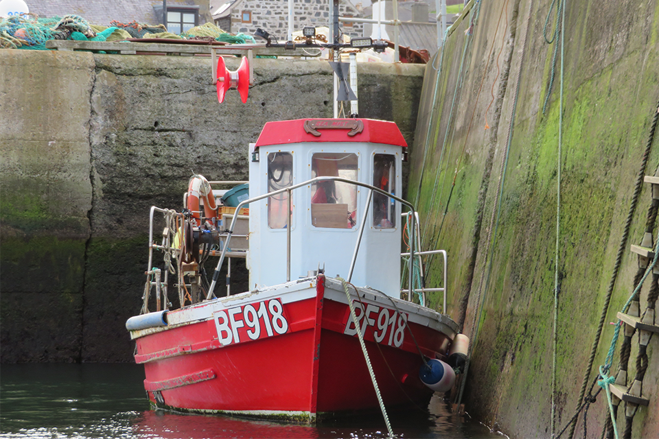Sea mist report and flyer published