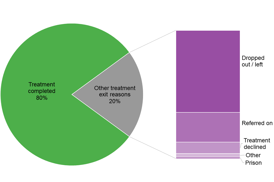 Pie chart showing the percentage of young people exiting the treatment system and the reasons for their exit.