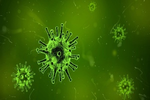 Flu virus