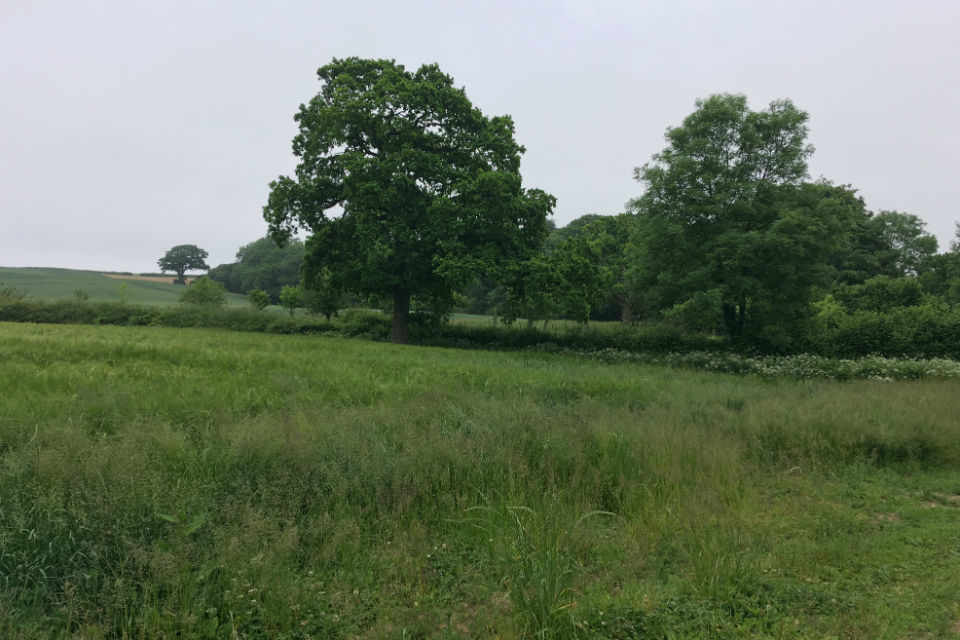 RPA makes full payments to thousands of rural businesses