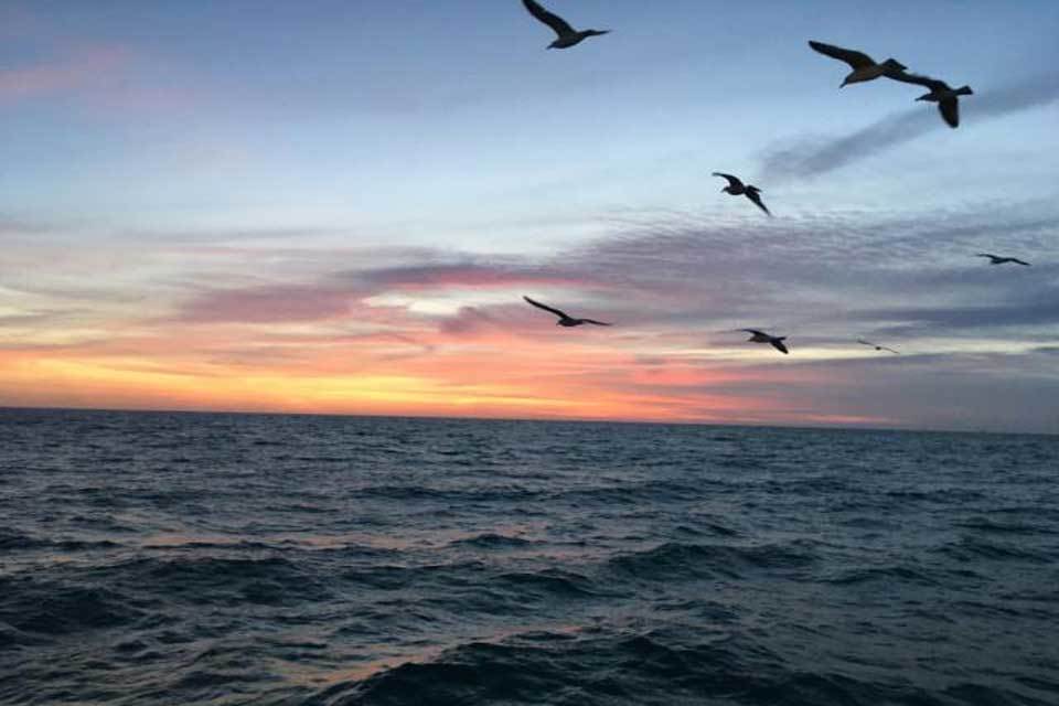 MMO announce panel dates for MFF scheme in England