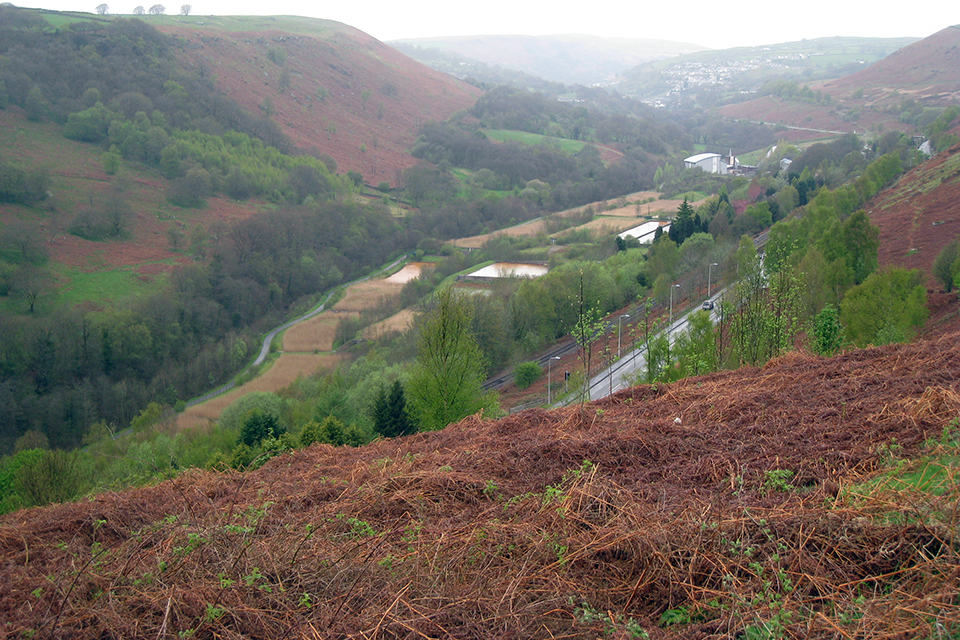 The Coal Authority's extensively landscaped 7 hectare site, which is surrounded by a cycle path and footpaths, features 4 individual settlement ponds (a total of 1.2 hectares) and 16 individual reed beds (a total of 3.2 hectares).