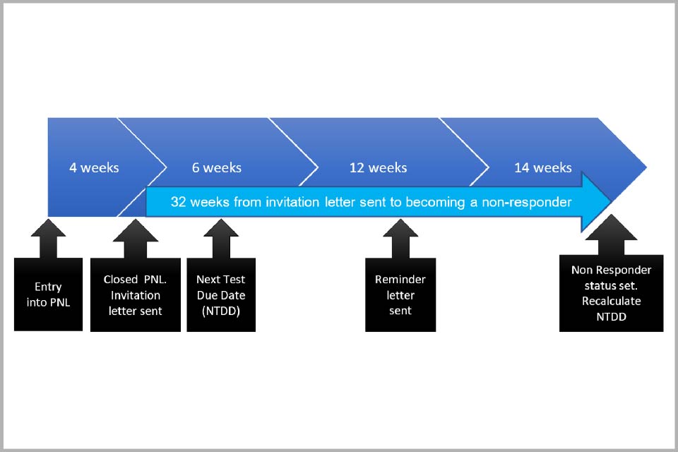 Diagram showing the 32 week pathway from an invitation letter being sent to a person becoming a non-responder