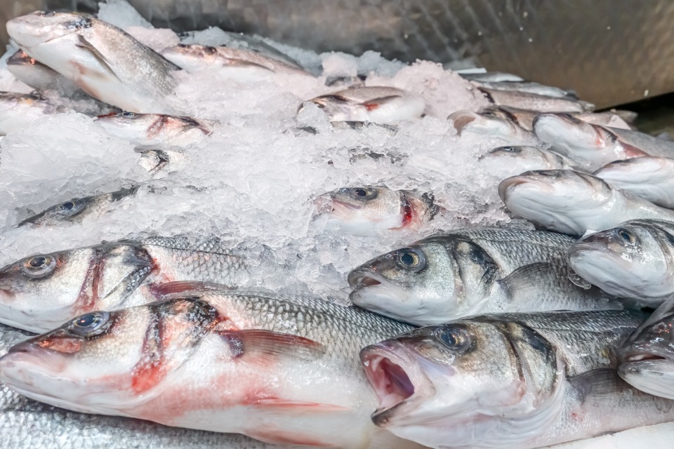 Proposed bass measures for 2020