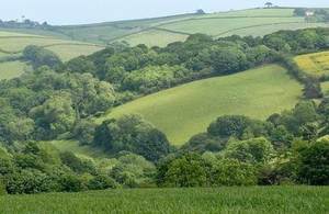 Fields with trees across rolling hills