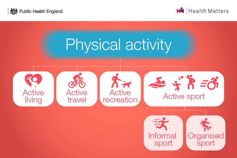 Physical activity includes: active living, active travel, active recreation, active sport (informal sport and organised sport)