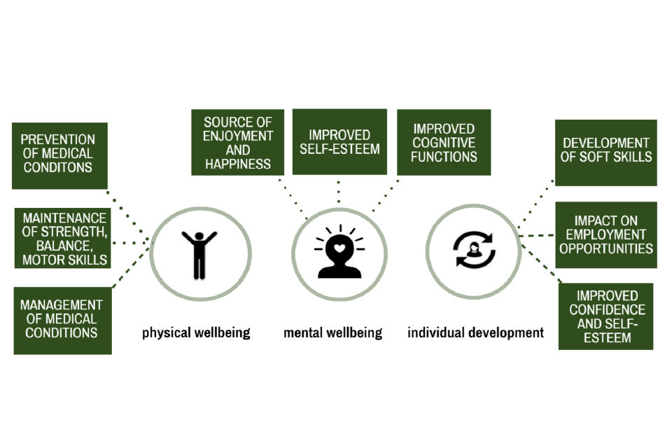 The wider physical wellbeing, mental wellbeing and individual development benefits of physical activity