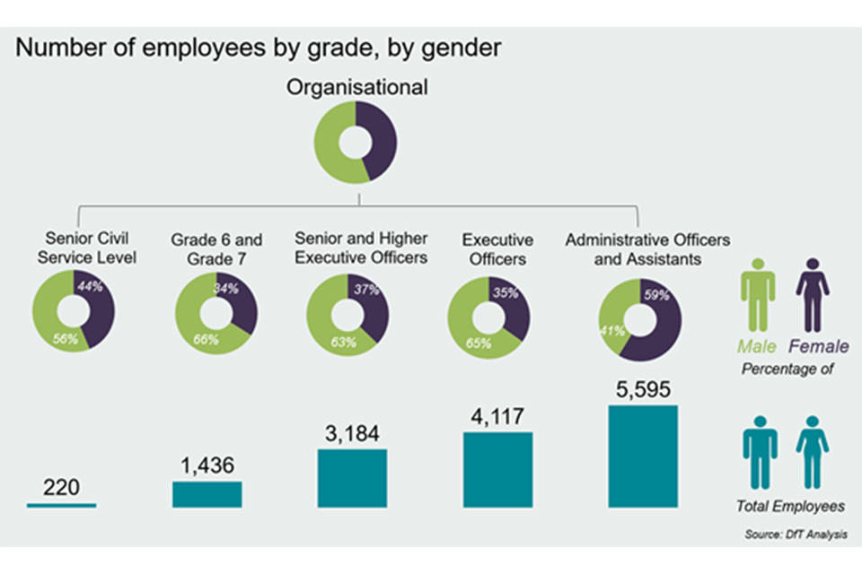 Number of staff broken down by grade and gender for DfT and its agencies. Overall 55% are male and 45% female. Male employees are most represented at grades 6 and 7 level (66% male) and female employees at admin officer level (59%).