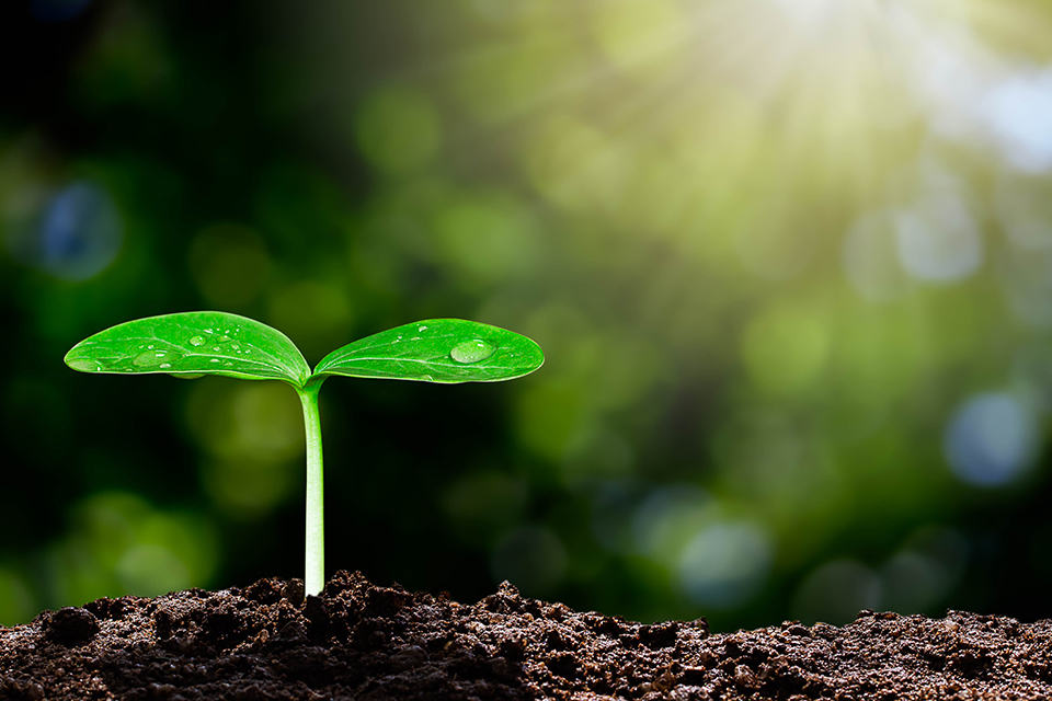 Improving farm productivity in UK and Canada: apply for funding