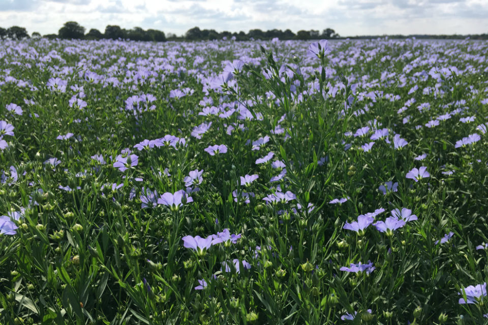 Latest on RPA payments to farmers and land managers