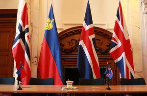 Flags in a row