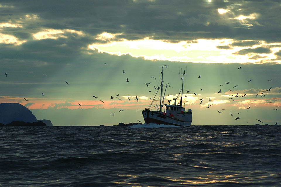 Exciting opportunity to manage inshore fisheries and conservation in the North Eastern district