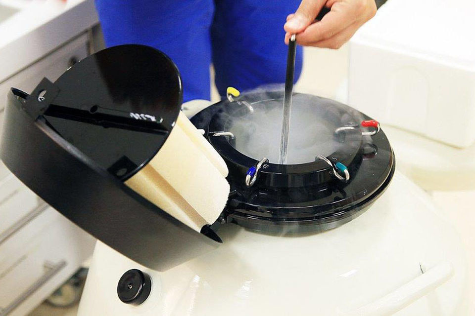 Storage limit for frozen eggs, sperm and embryos to be reconsidered