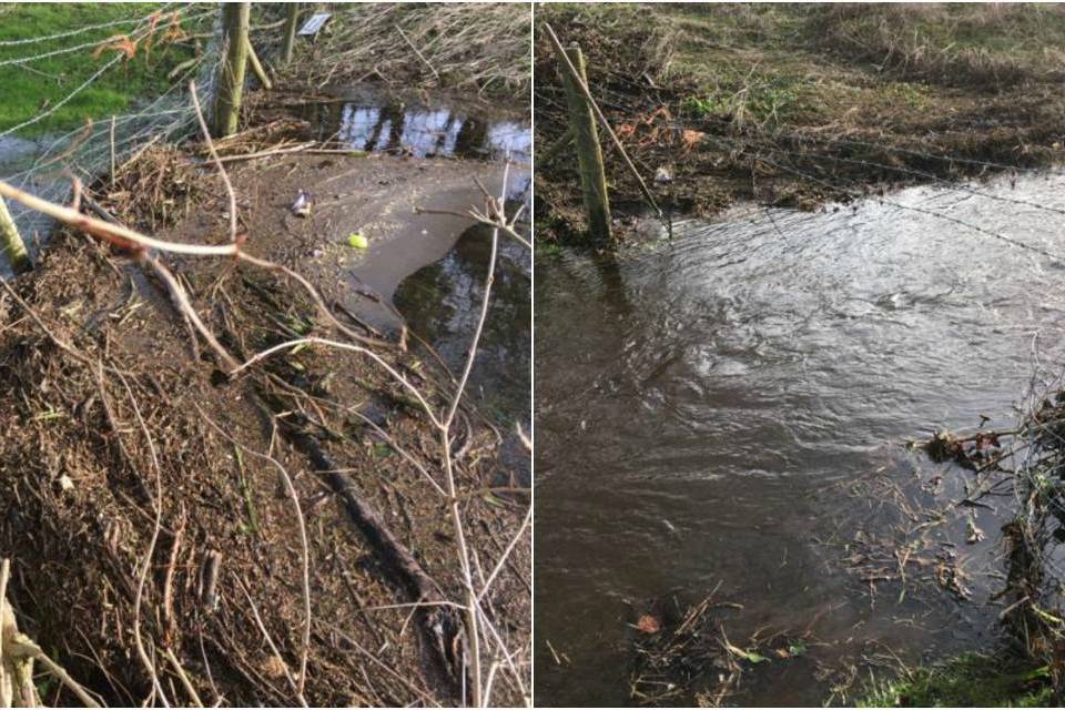 Before and after picture of woody debris cleared from a river. 