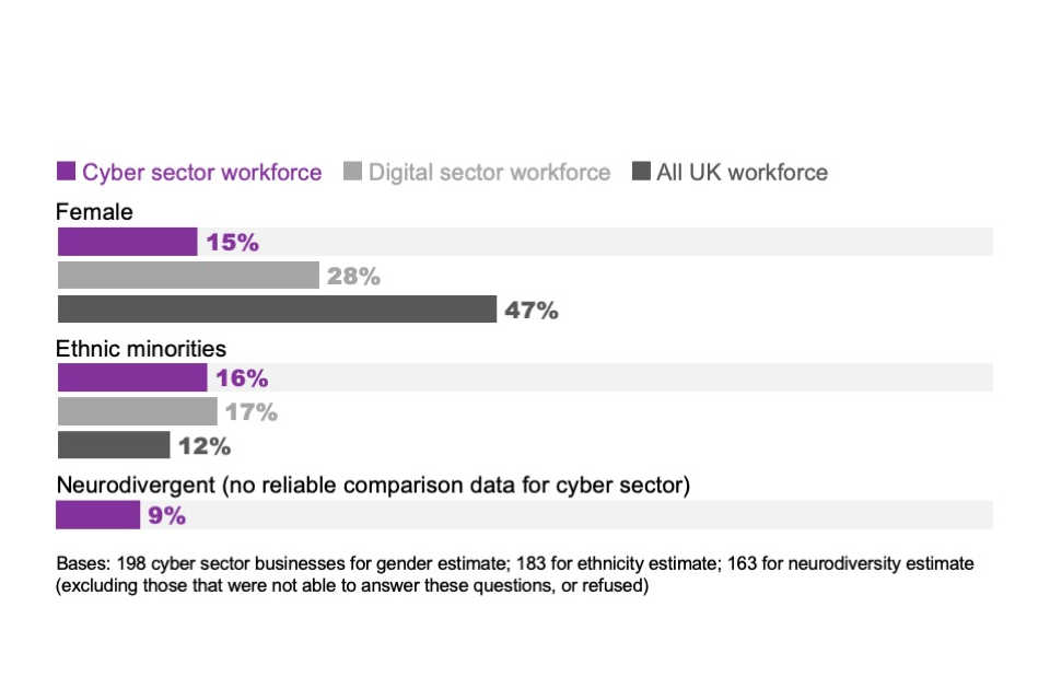 Figure 3.1: Percentage of cyber sector workforce that come under the following diverse groups