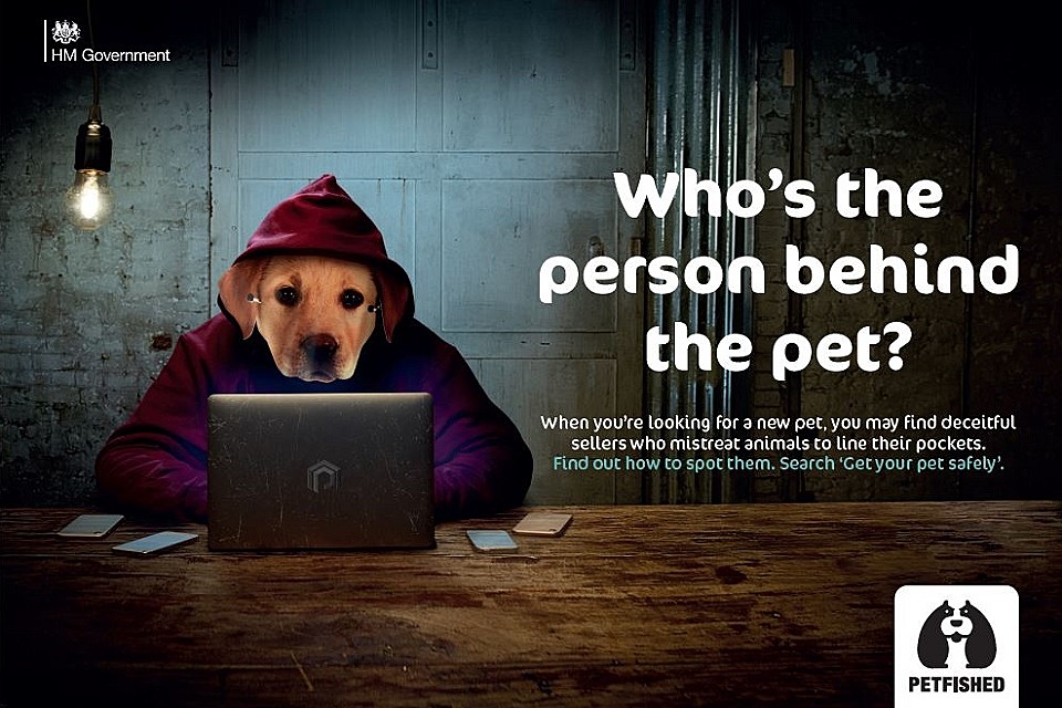 Lucy’s Law: Vets reveal the true cost of puppy and kitten farms