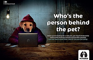 Petfished: Who's the person behind the pet? Image of a hooded figure wearing a Labrador face mask. The individual is hiding behind a computer screen.