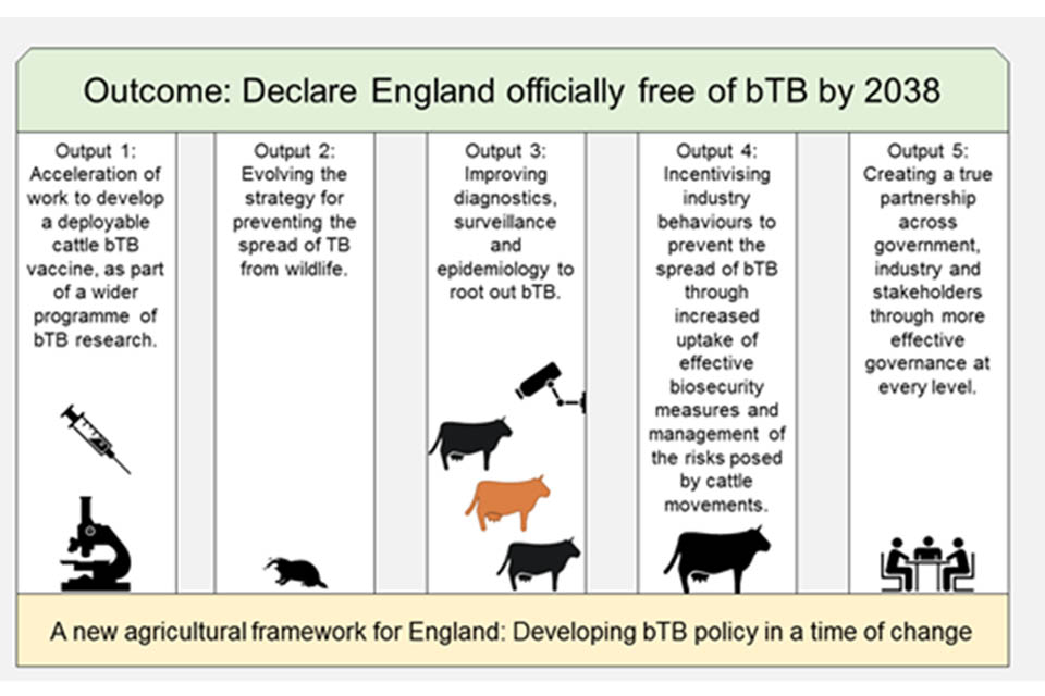 An image showing the five outputs contributing to the outcome of declaring England officially free of bovine TB by 2038 against a background of a new agricultural framework.