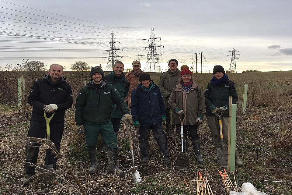 528 trees planted along a suffolk river