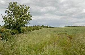 farming countryside