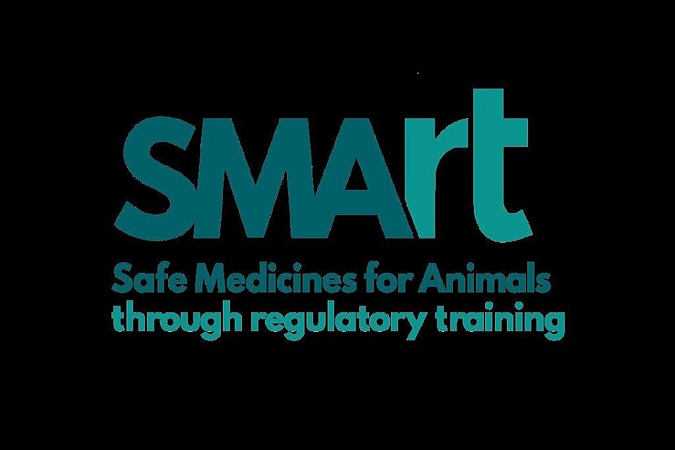 Launch of a new charity to improve veterinary medicines regulation worldwide