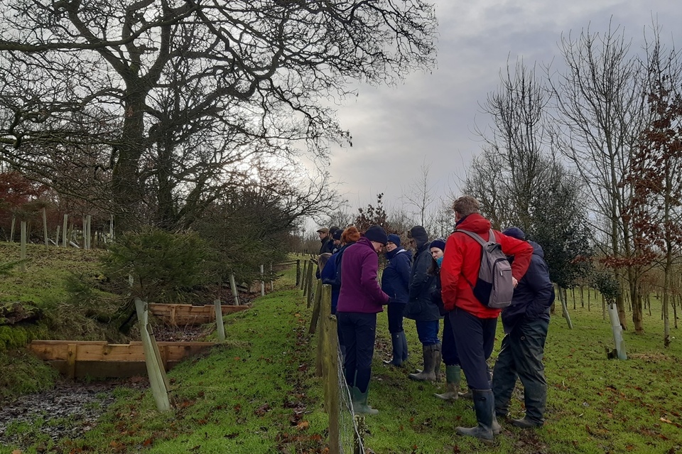 A trial using nature to help reduce flood risk hailed a success