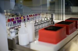 Test tubes in a laboratory