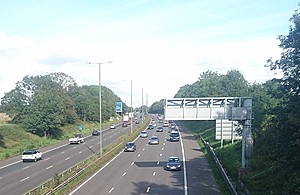 M56