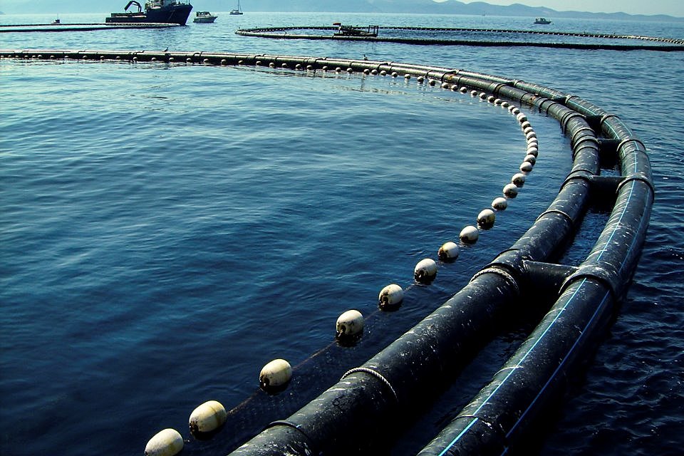 Update on Fisheries Response Fund: support for aquaculture businesses