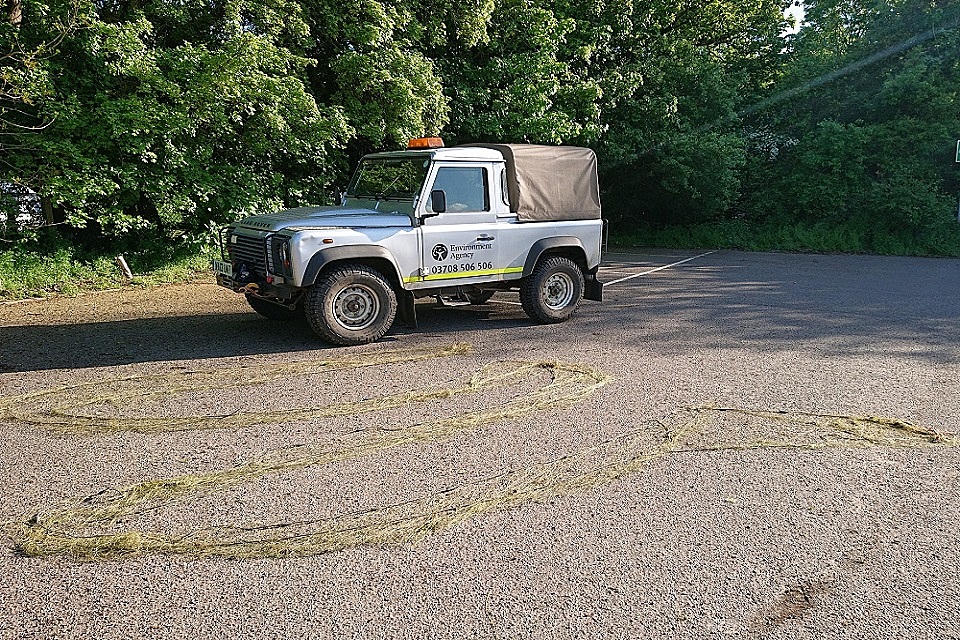 Fish rescued from a poaching incident